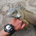 Годинник Casio GW-9400-1ER - Зображення 10