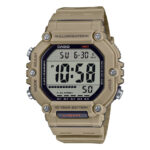 Чоловічий годинник Casio AE-1600H-5A