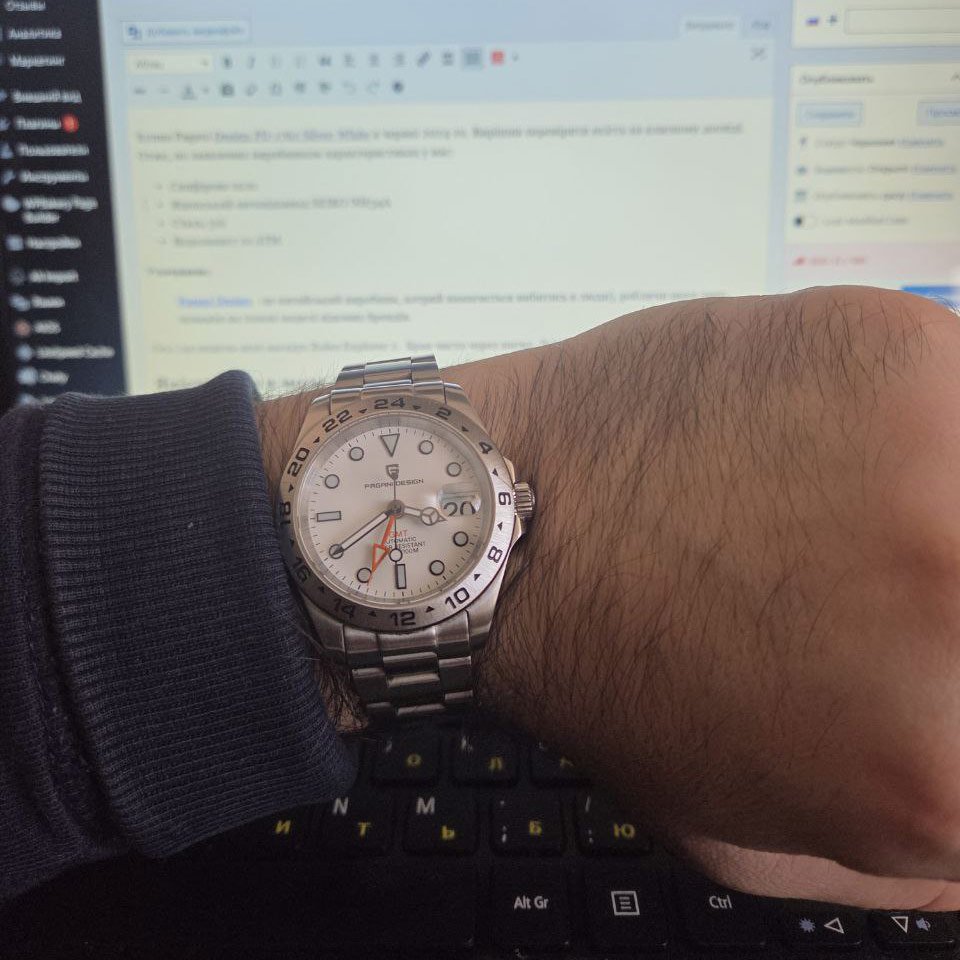 Огляд годинника Pagani Design PD-1762 Silver-White після 18 місяців носіння